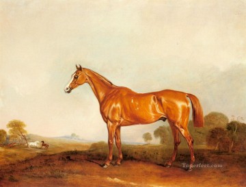 Caballo Painting - Un cazador de castaños dorados en un paisaje caballo John Ferneley Snr